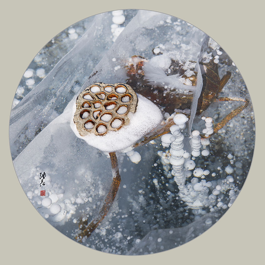 残荷听雪