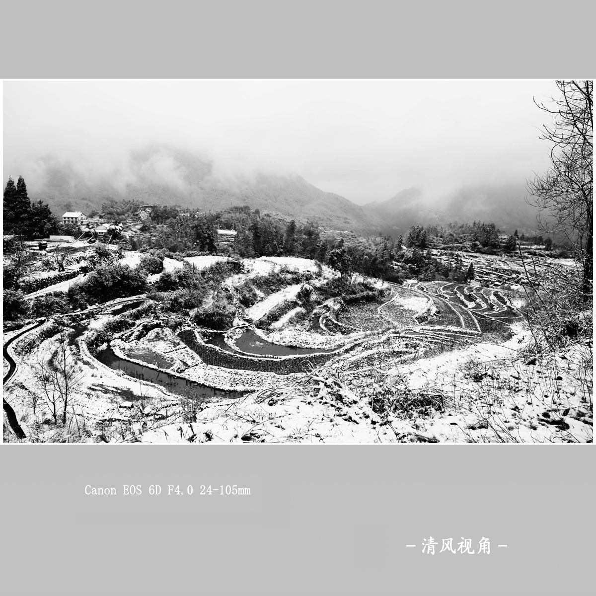 三月梅源_1705