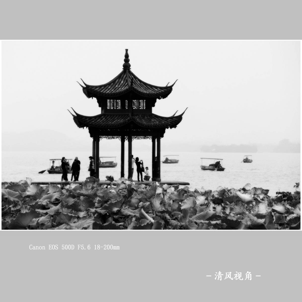 无题_8514