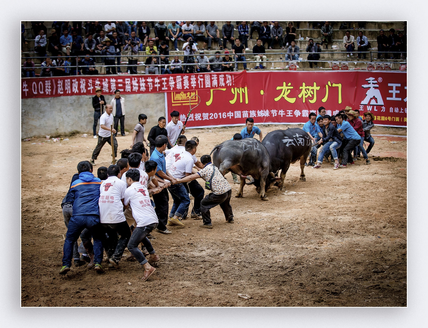难舍难分