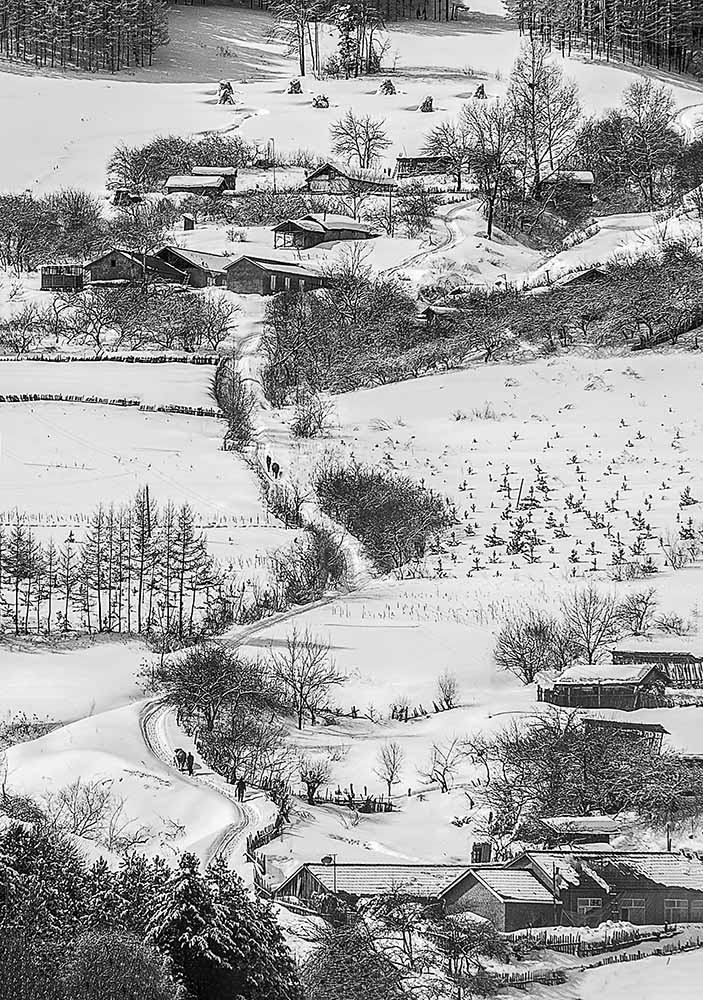 山路弯弯