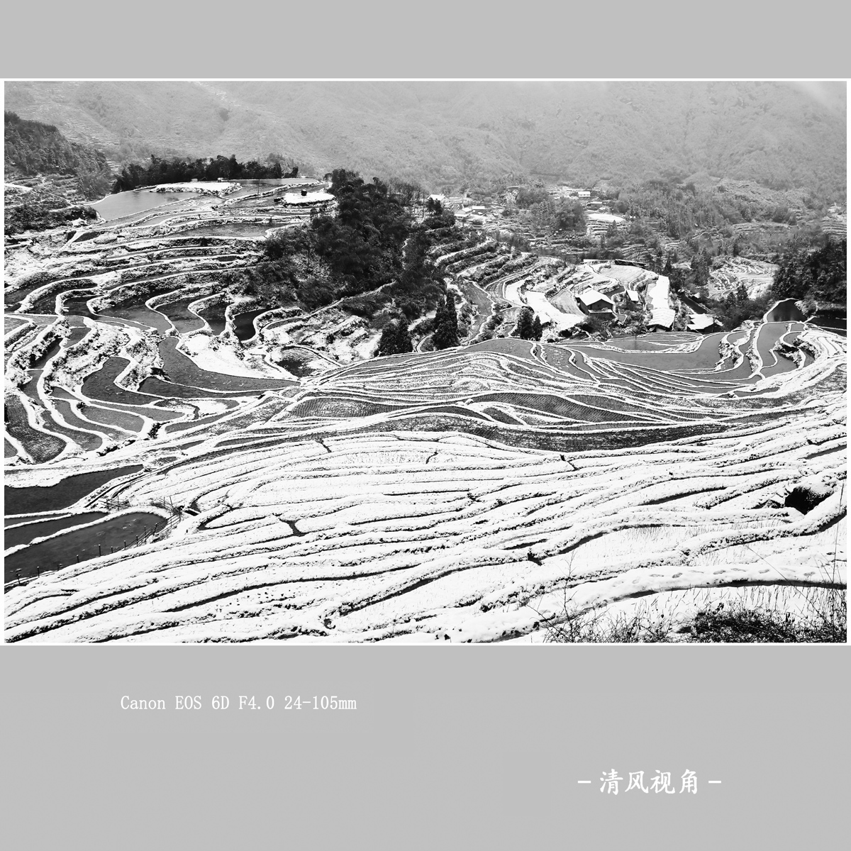 三月梅源_1838