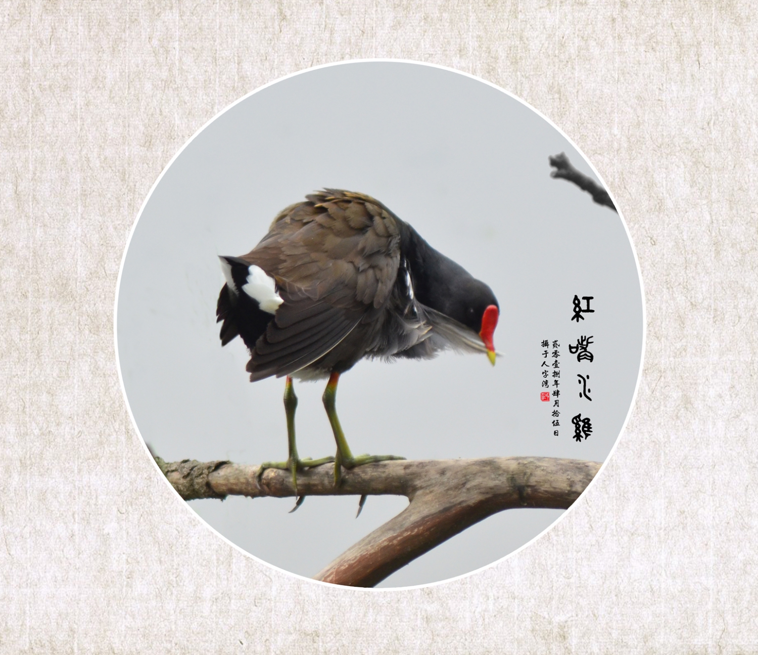 无题