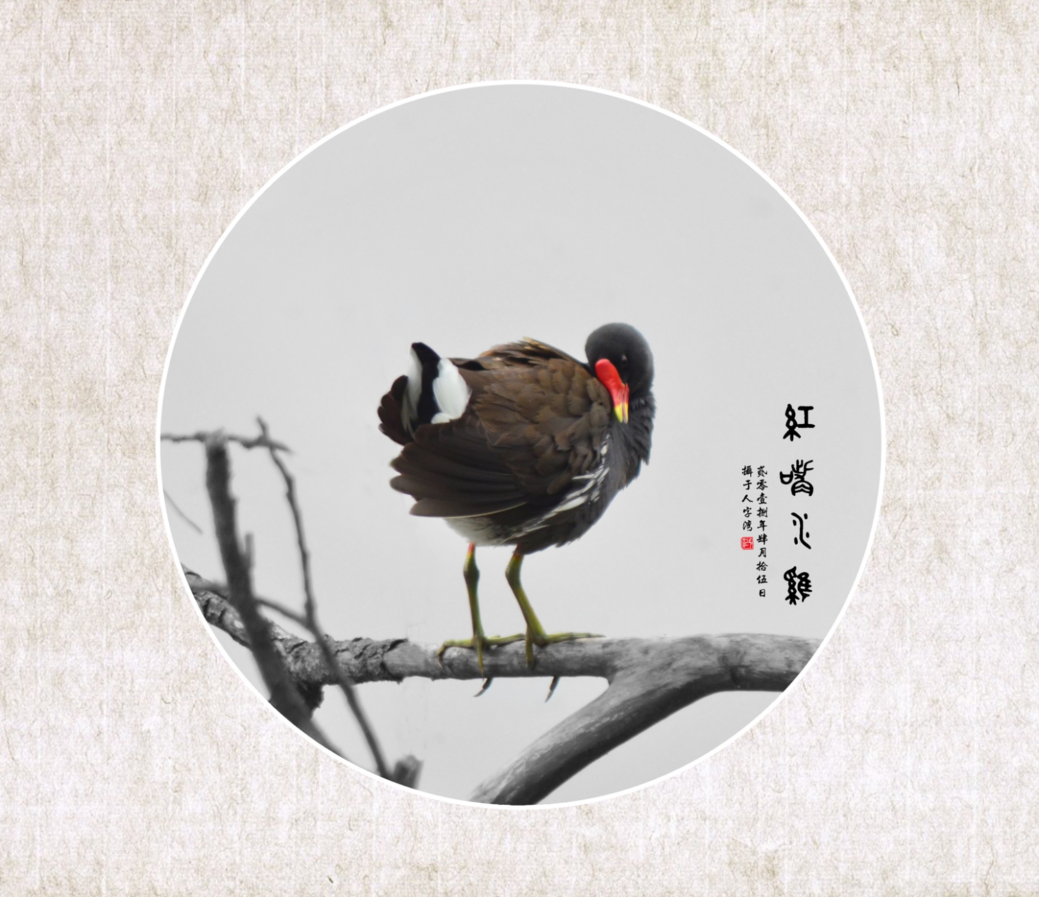 无题