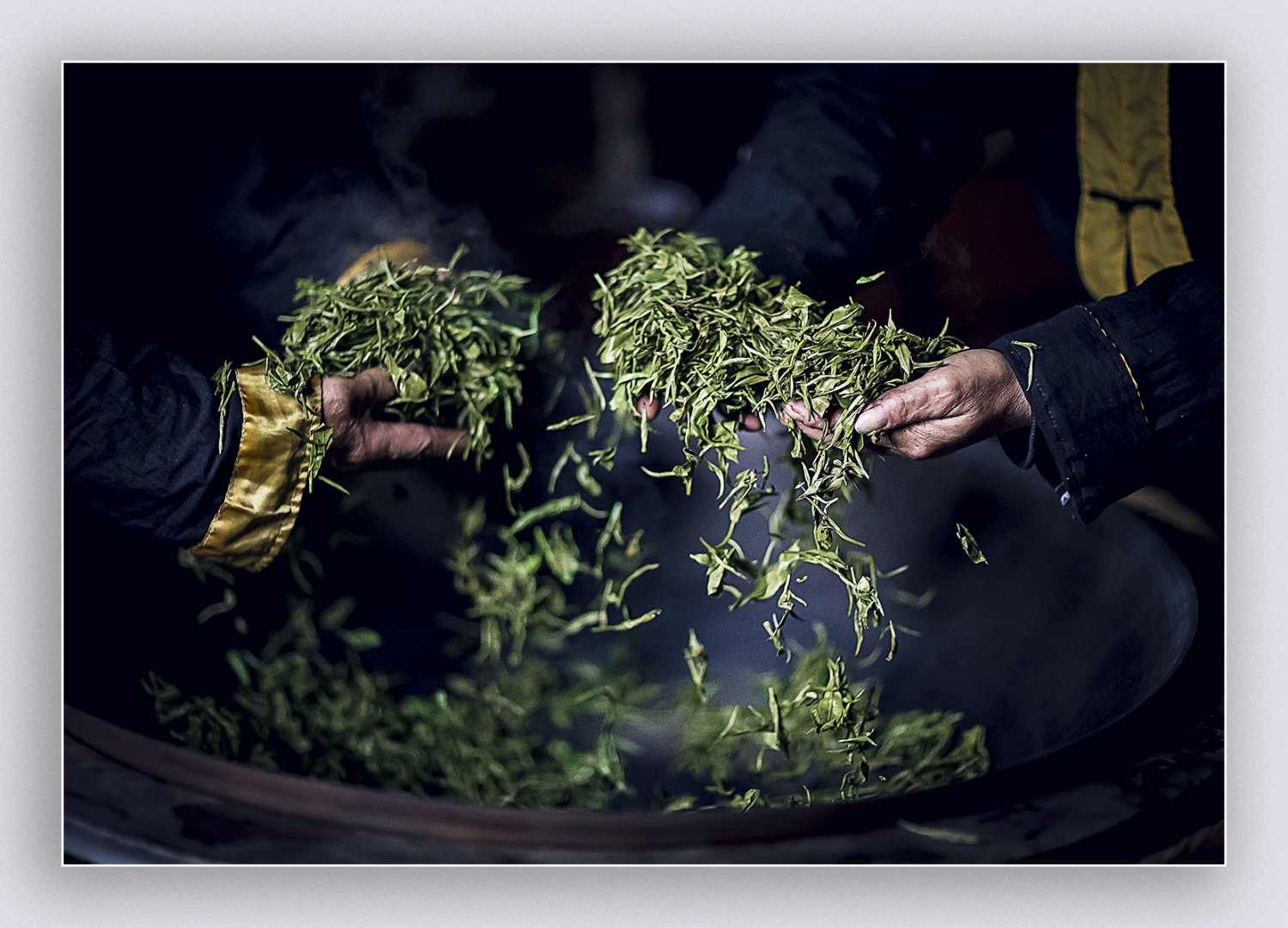 手工制茶