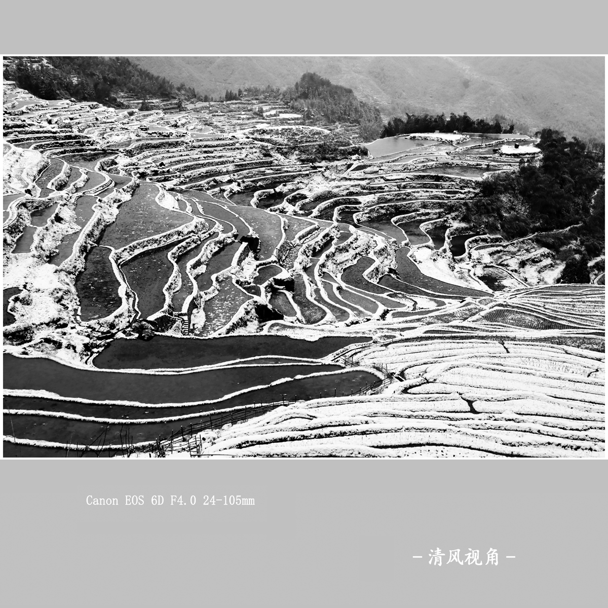三月梅源_1839