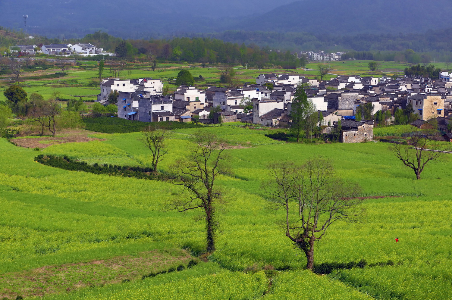 苏菲亚教堂