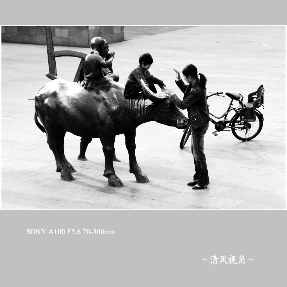 身边随拍_1339