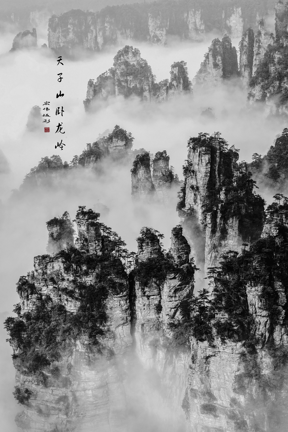张家界天子山卧龙岭云海图