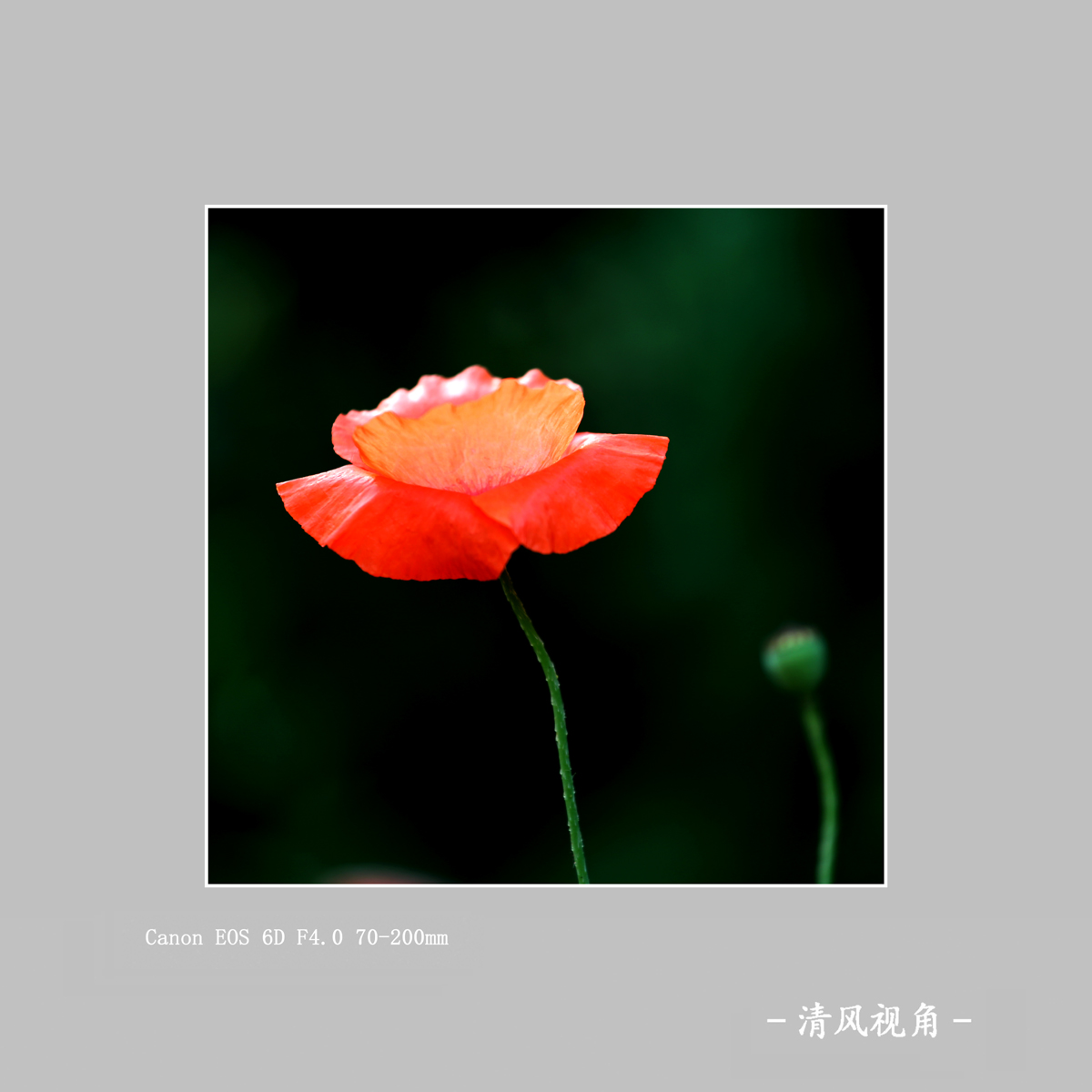 0000