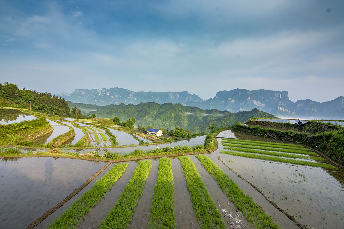空中田园