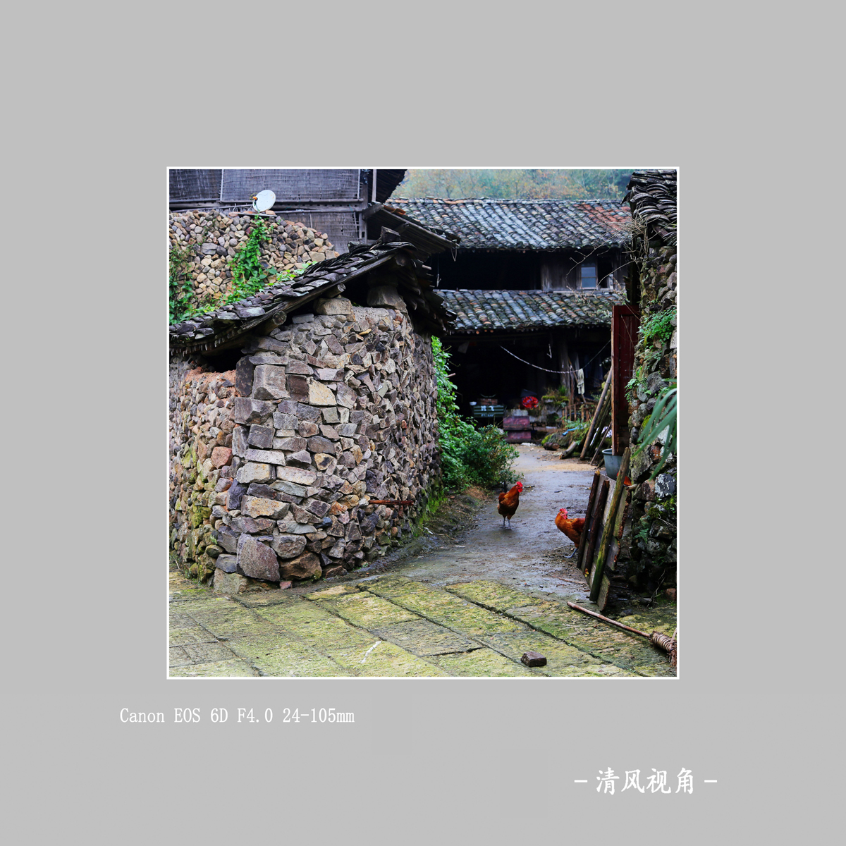 陈宅村_4011