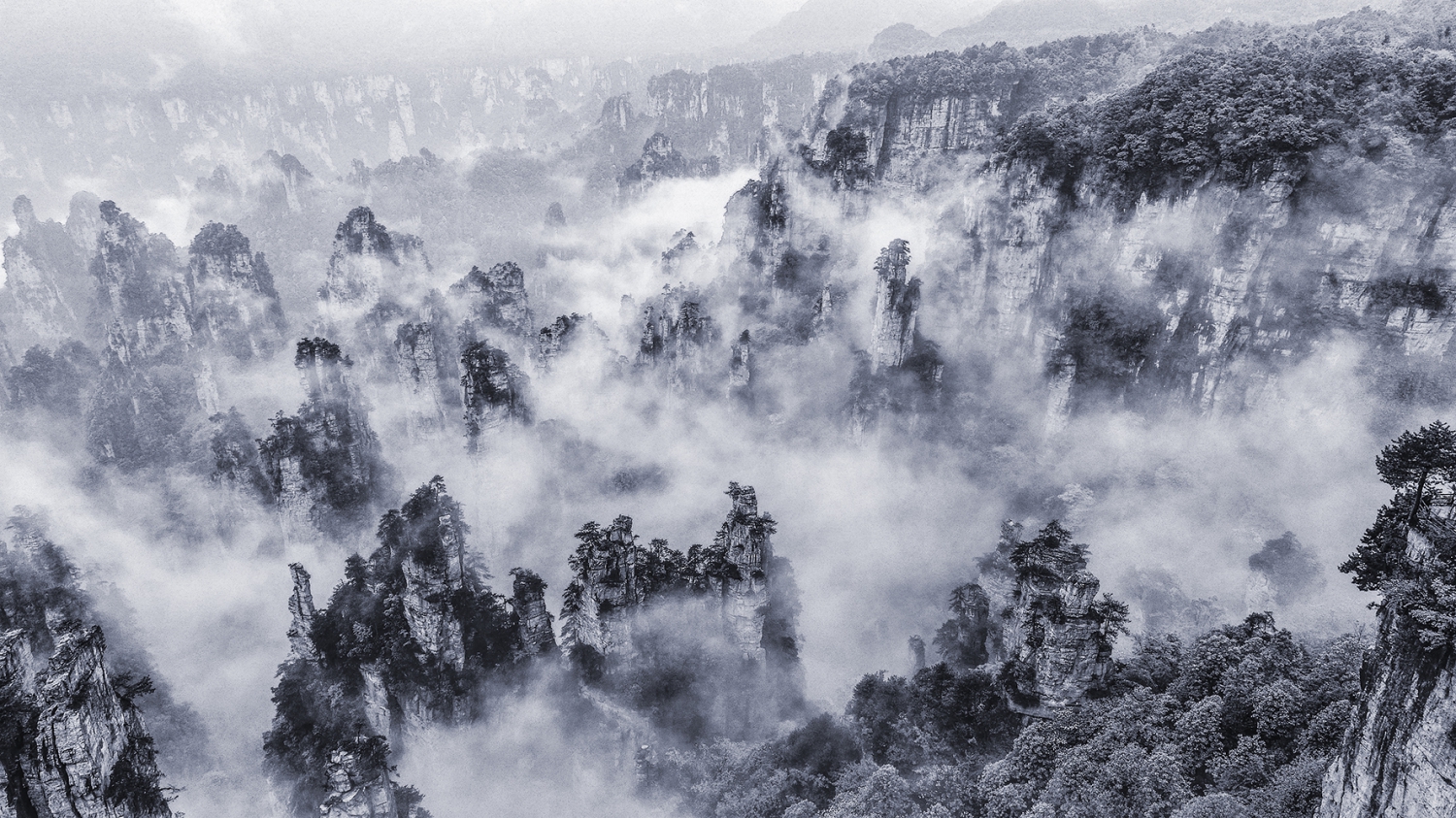 张家界天子山西海峰林