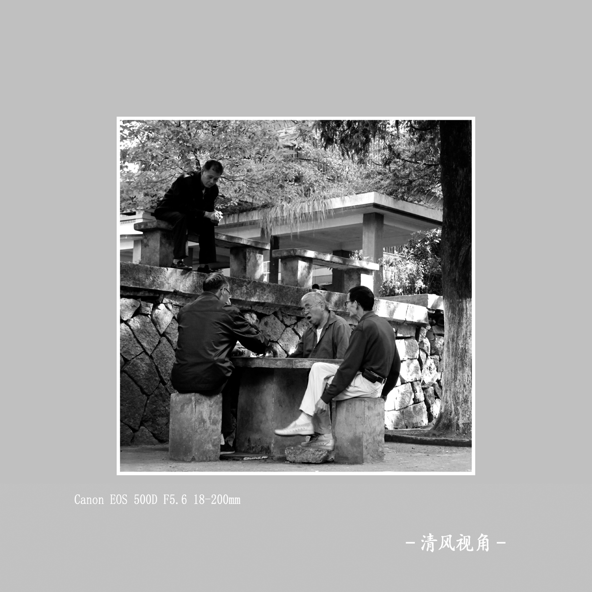 青田扫街_4499