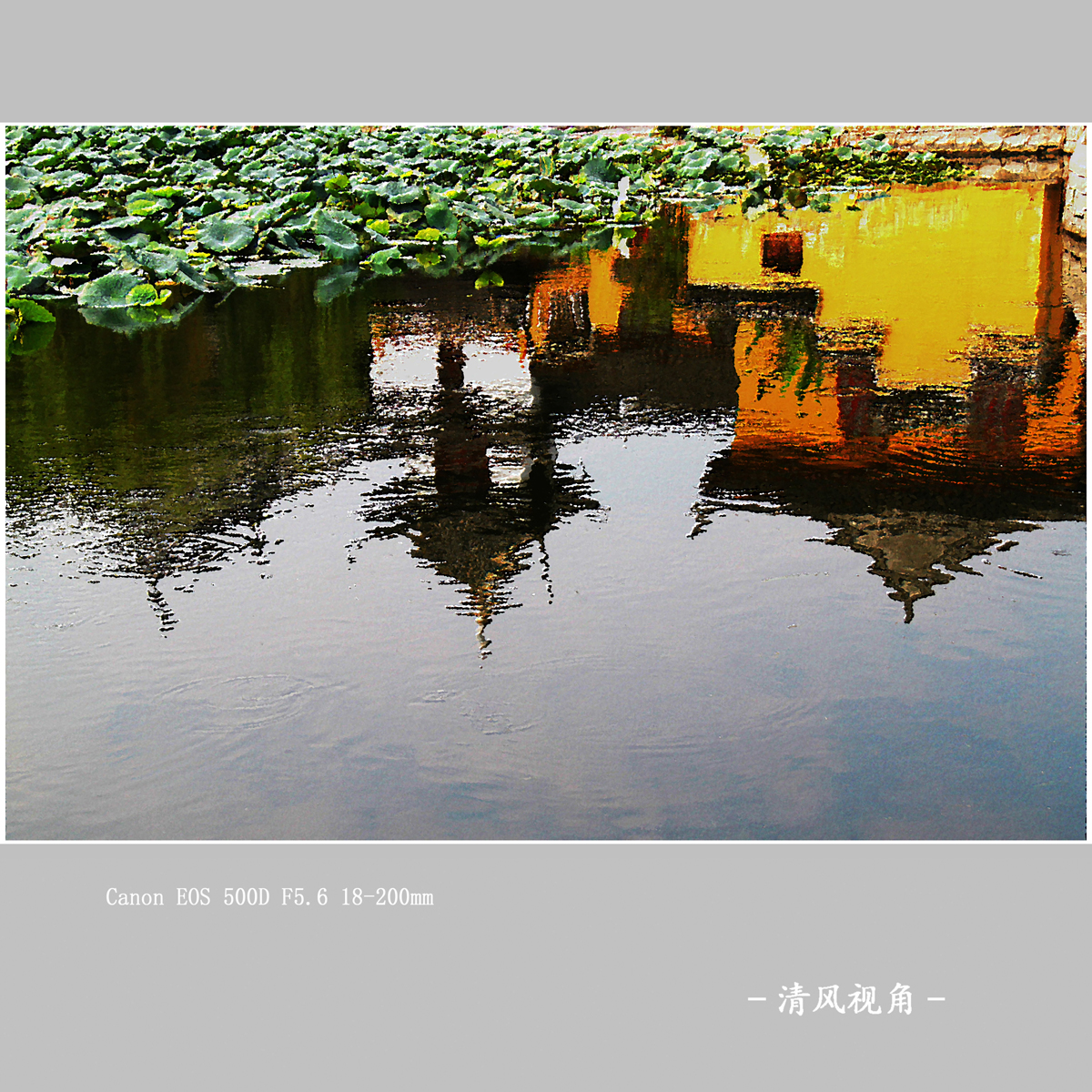 影画_5536