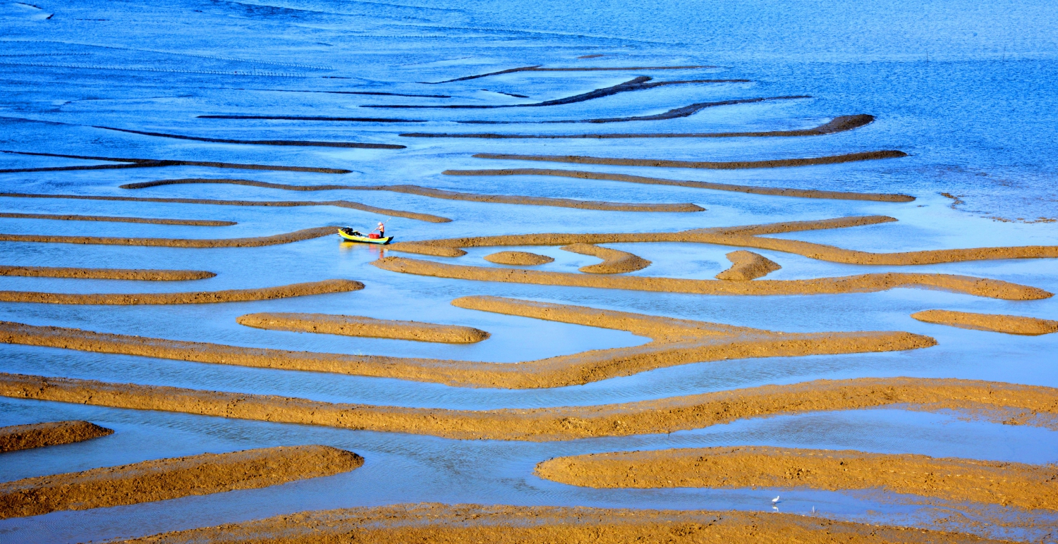 悠悠沧海情