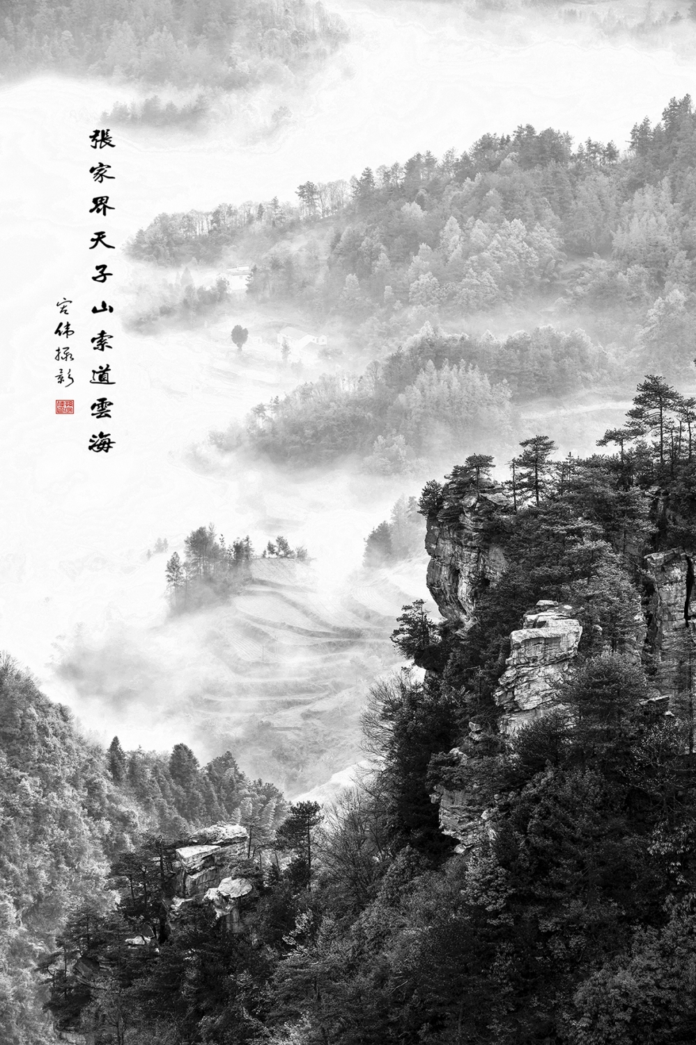 张家界天子山索道云海