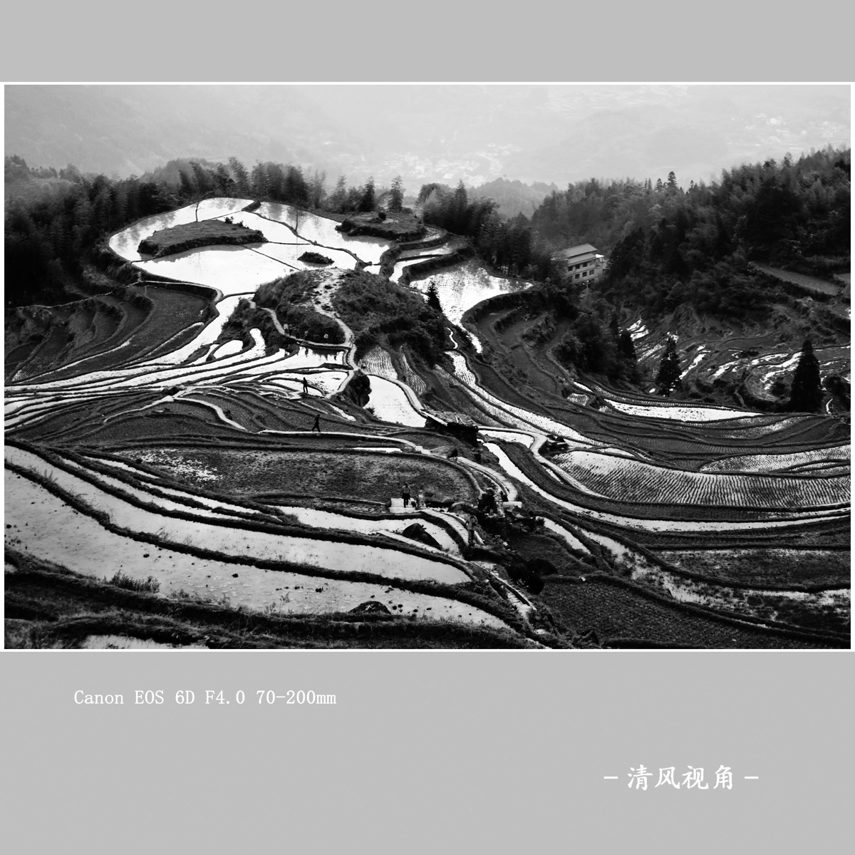梅源梯田_7955