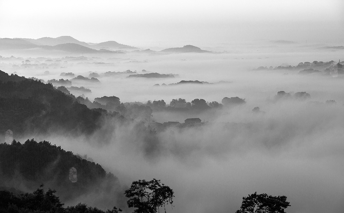 风景这边独好