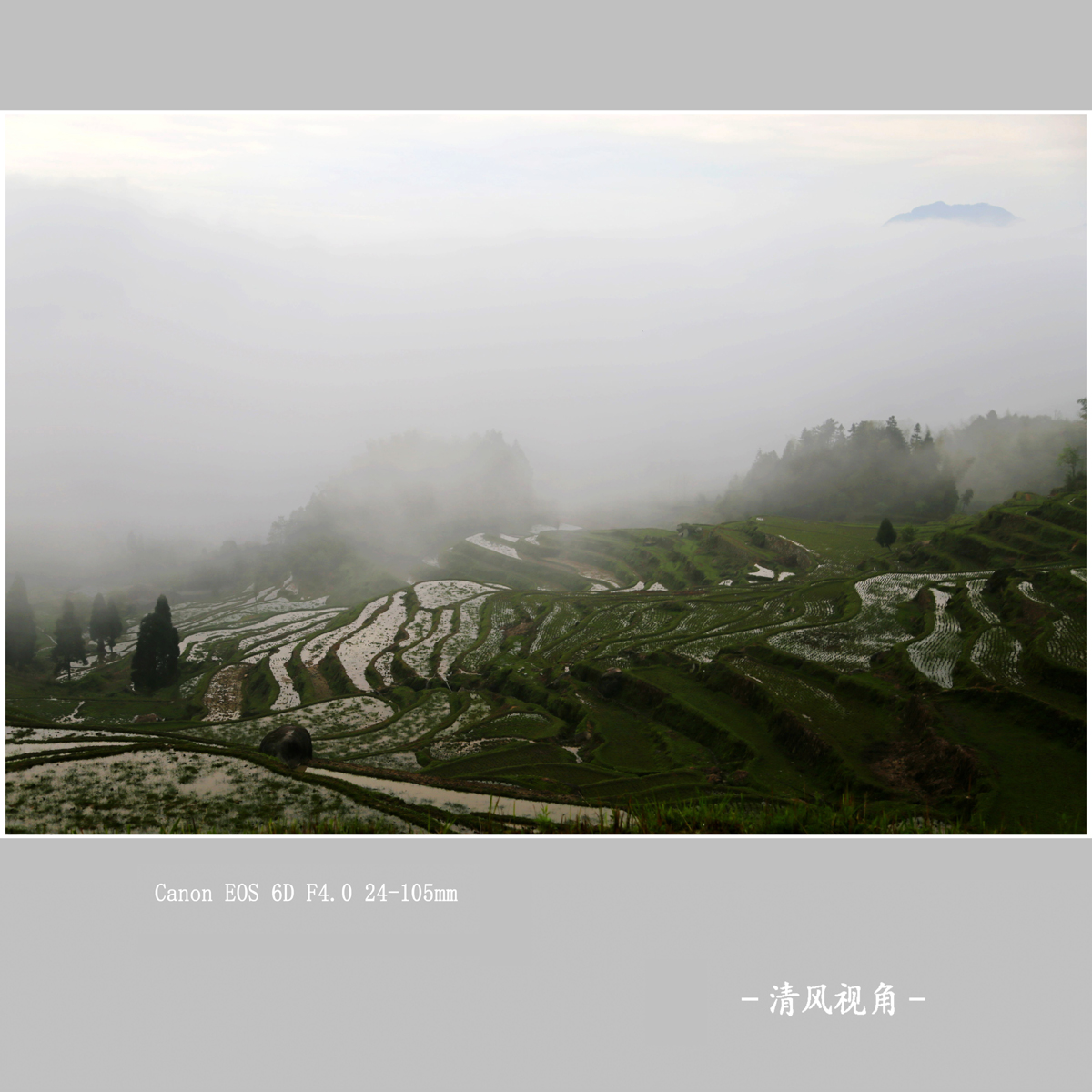 赵善村_5304