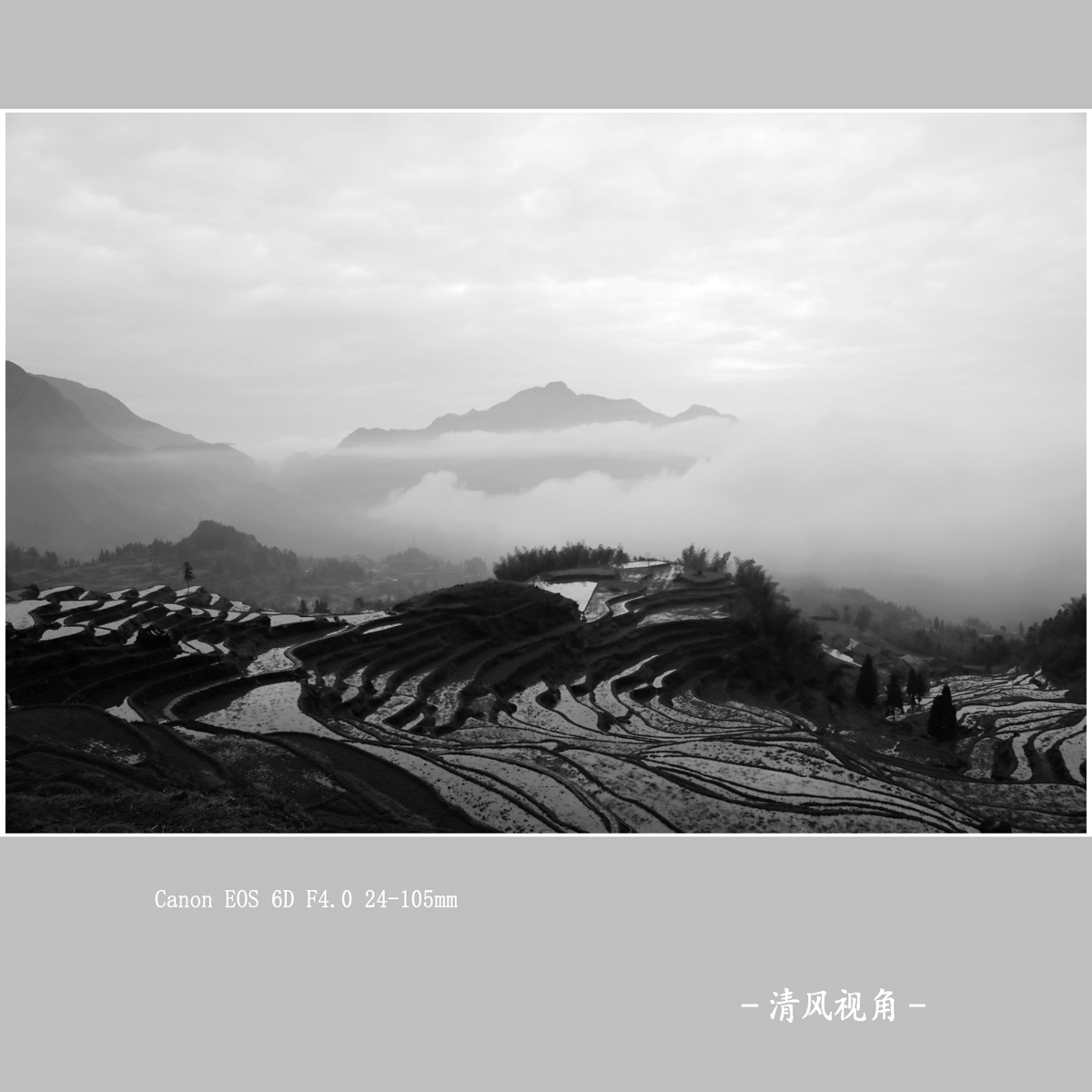 赵善村_5910