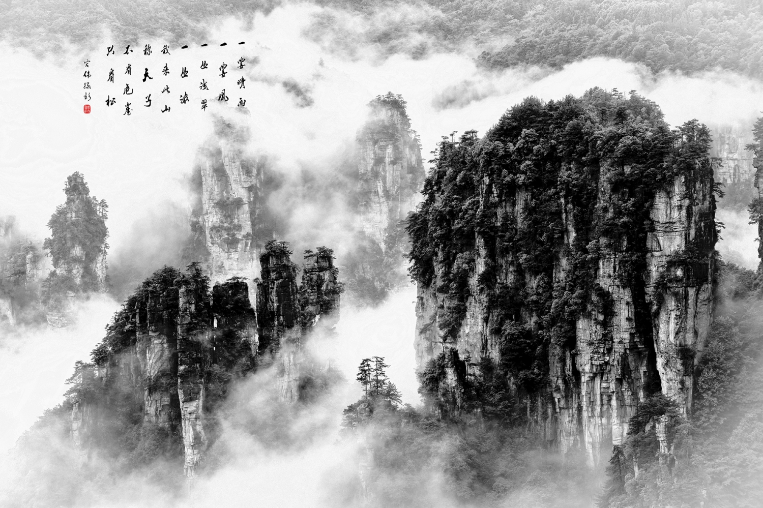 张家界天子山卧龙岭云海