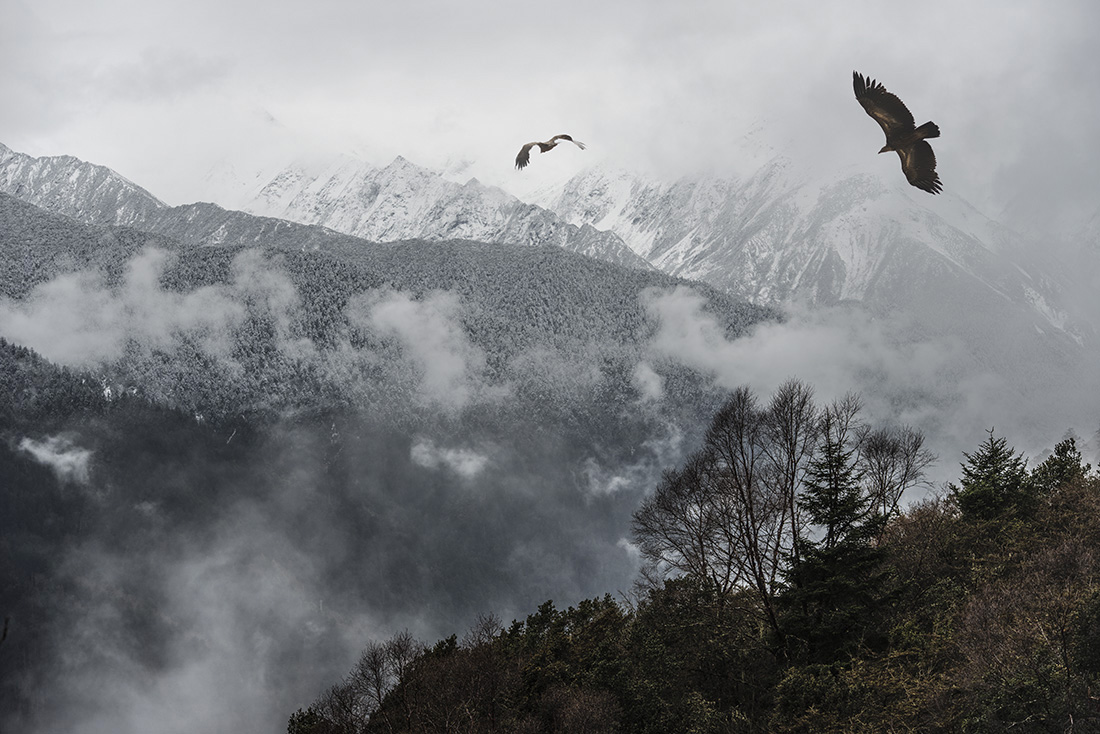 山魂