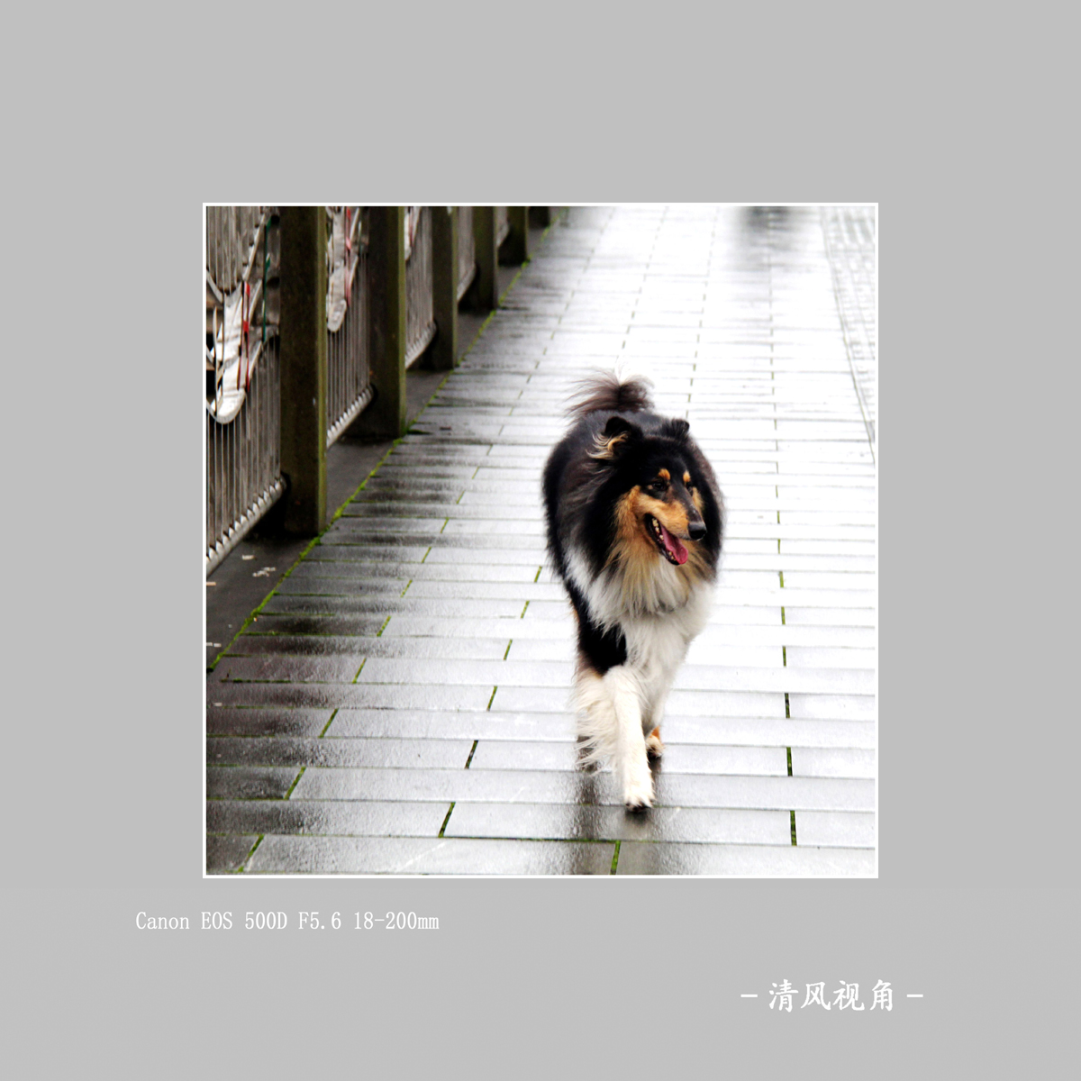 身边_2612