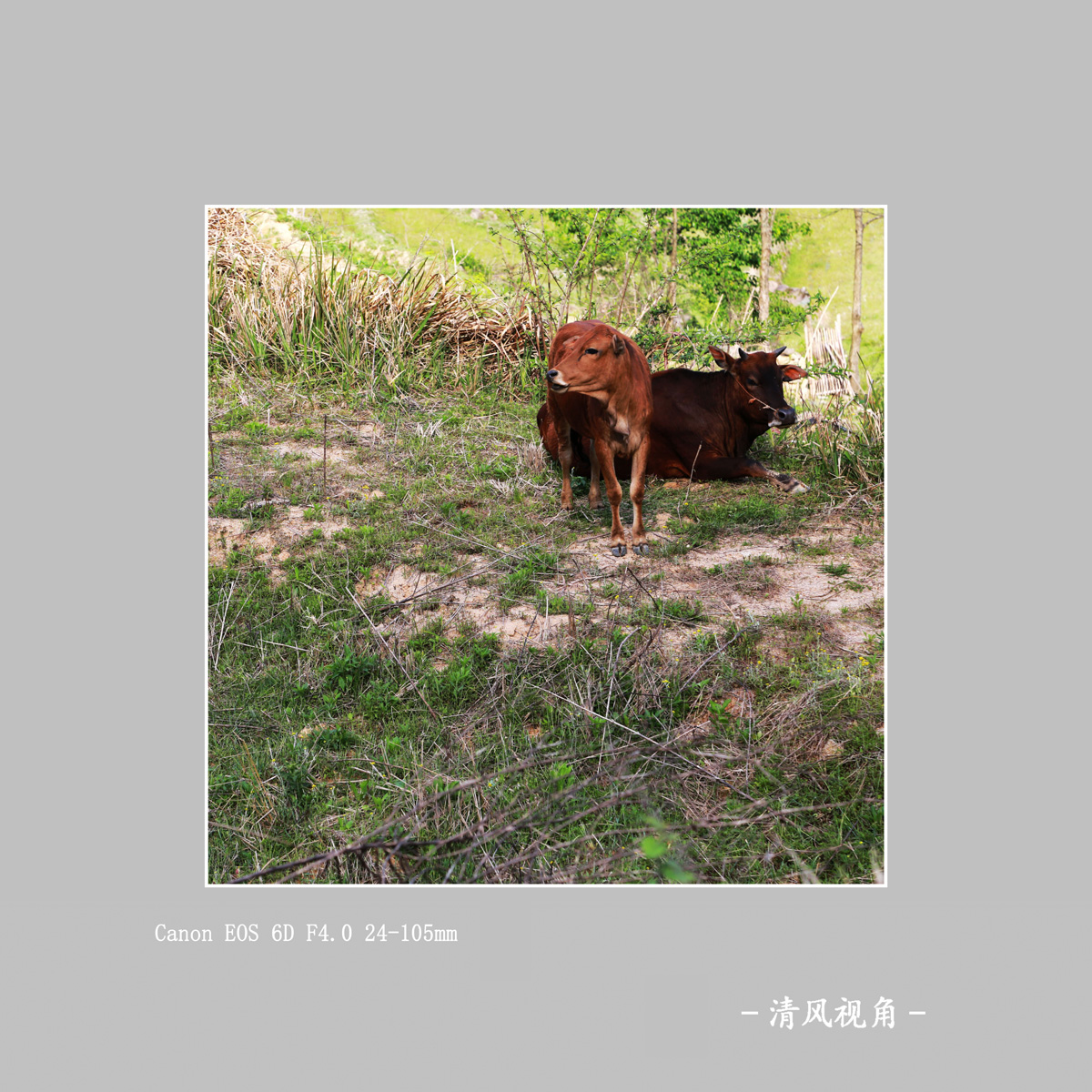 身边_7825