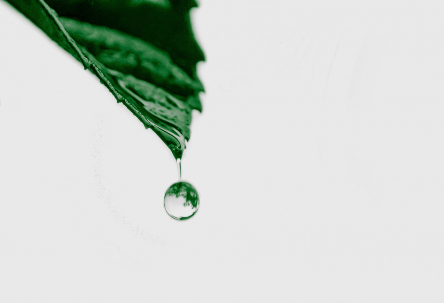 水滴