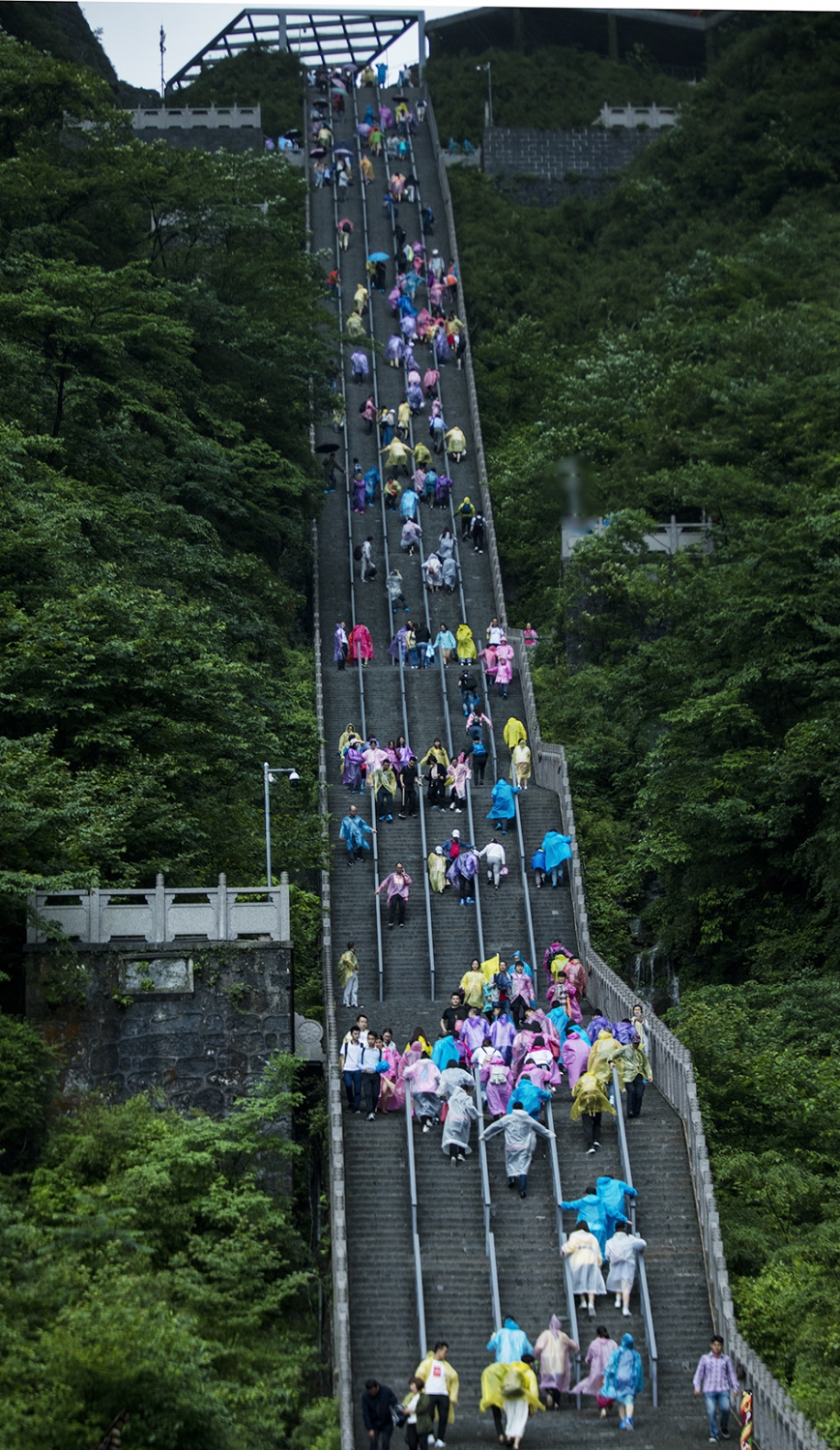 天梯游人