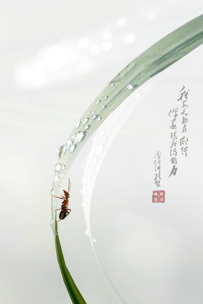 爬行