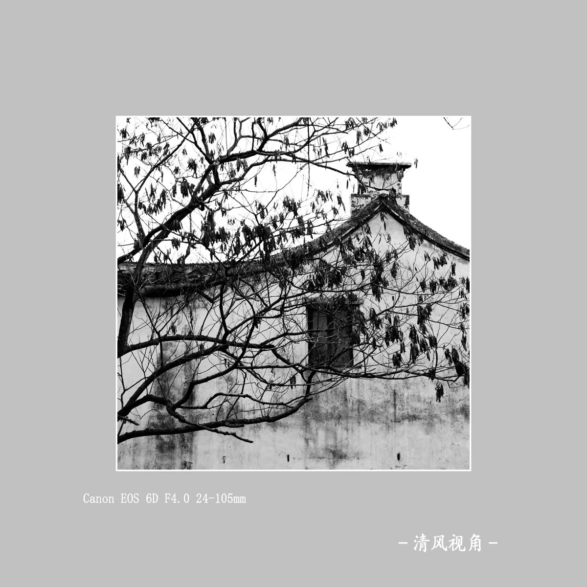 同里古镇_8830
