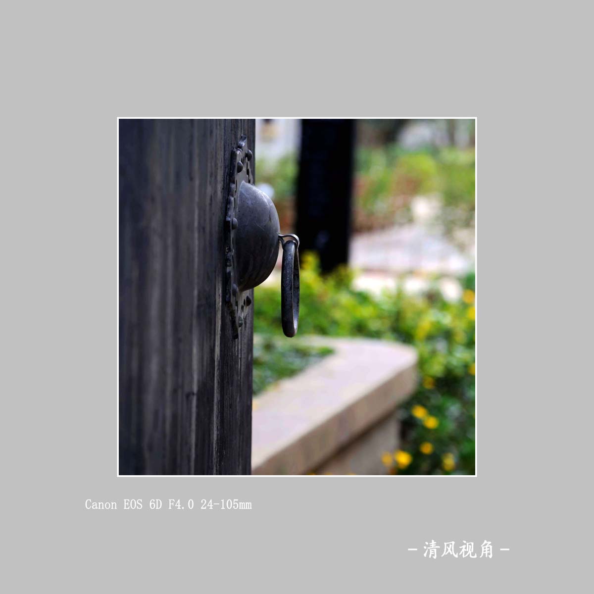 同里古缜_8875