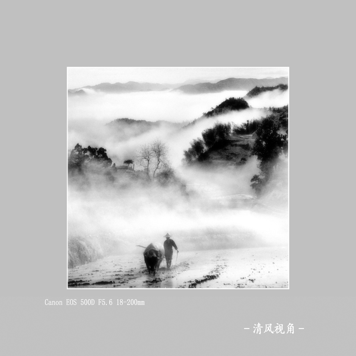 影展_2398