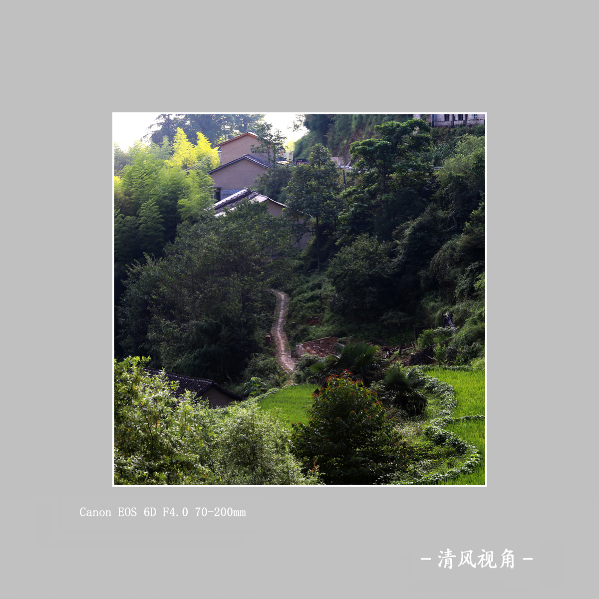 坑垠村_2483