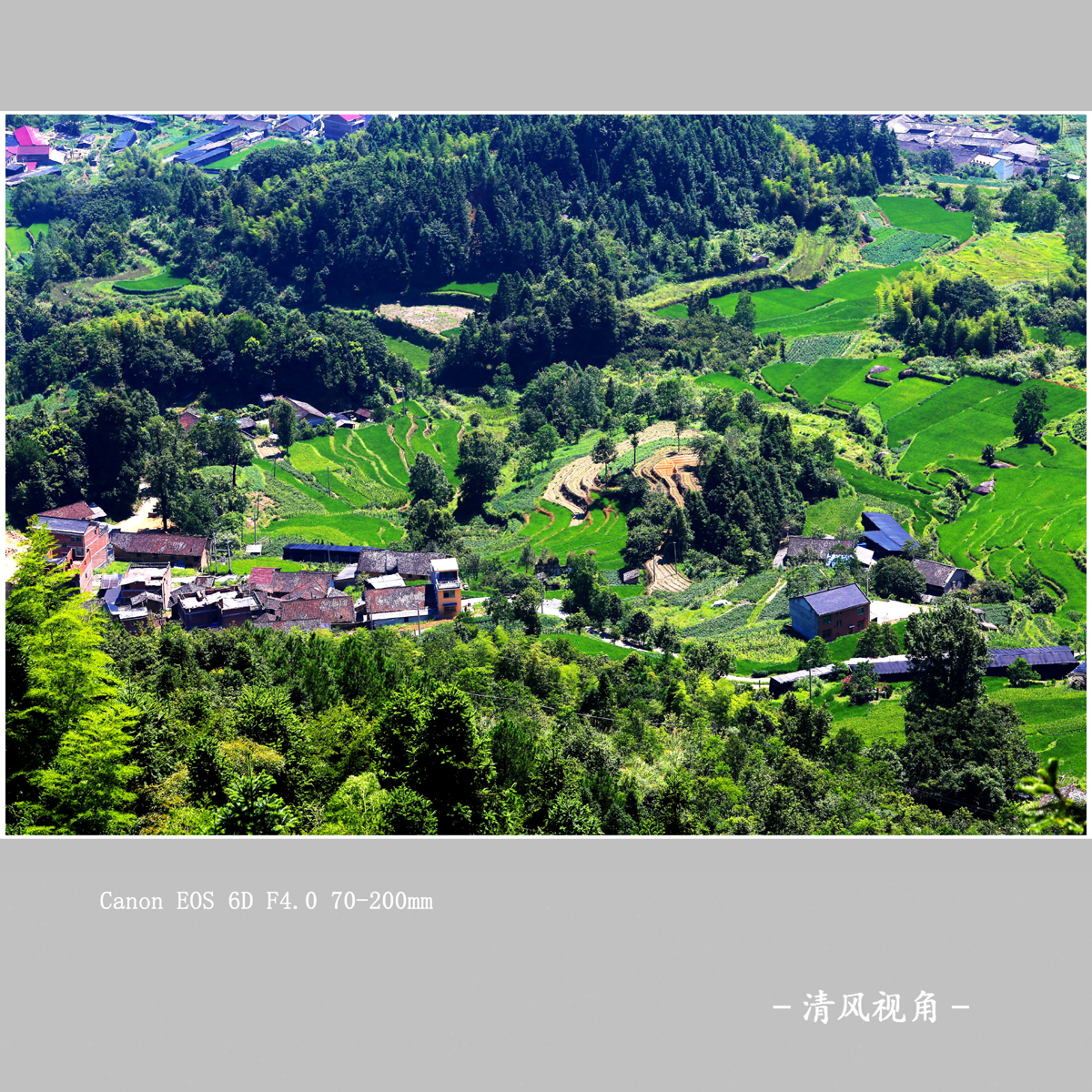 坑垠村_3157
