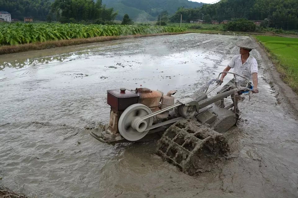 耕