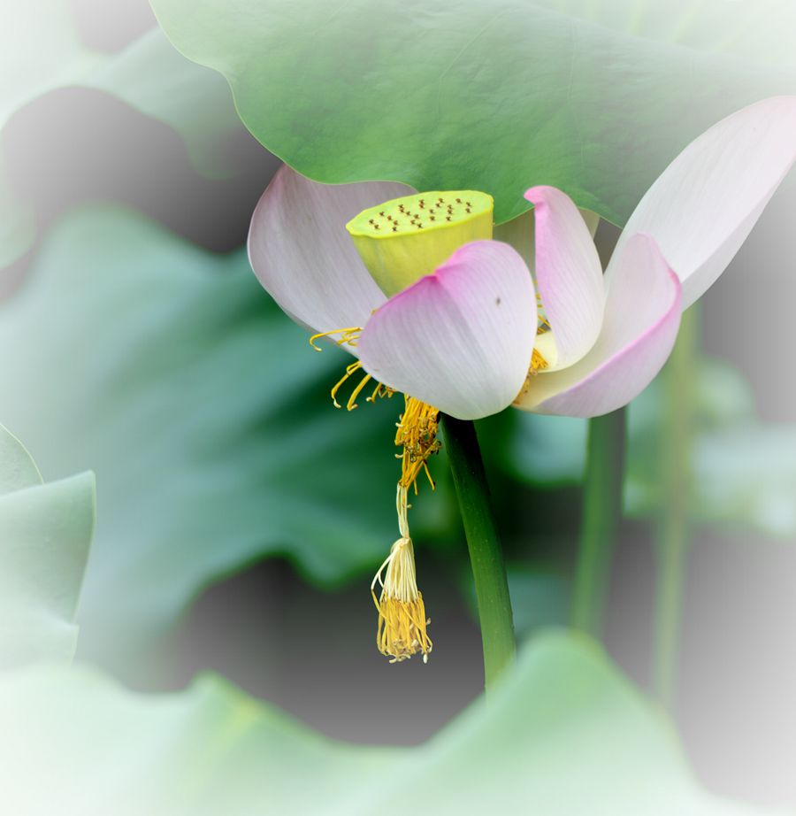 牵挂