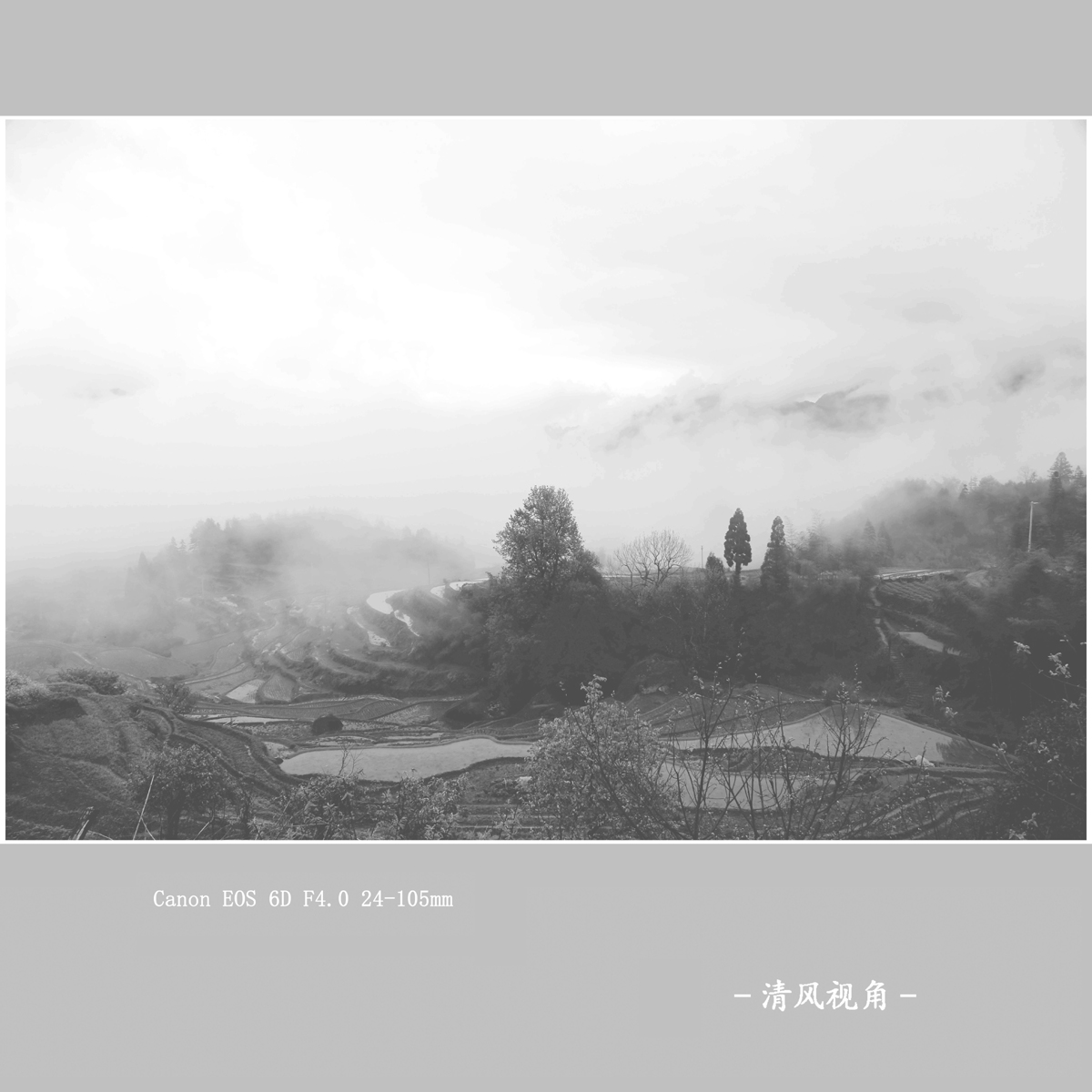 岭上云雾_2583