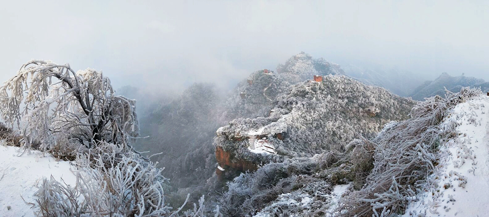 丹峰雪韵