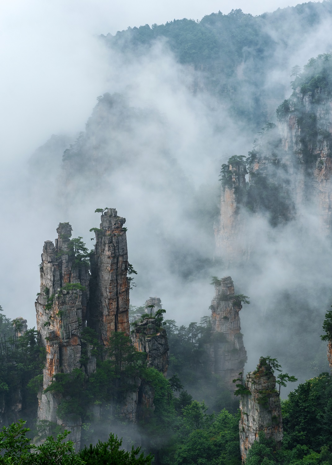 雨后天子山