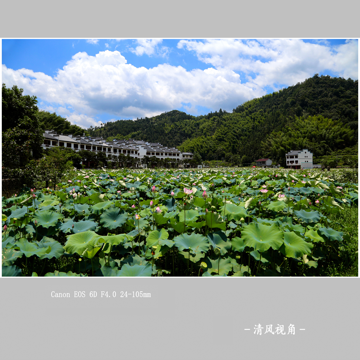 利山村_3564