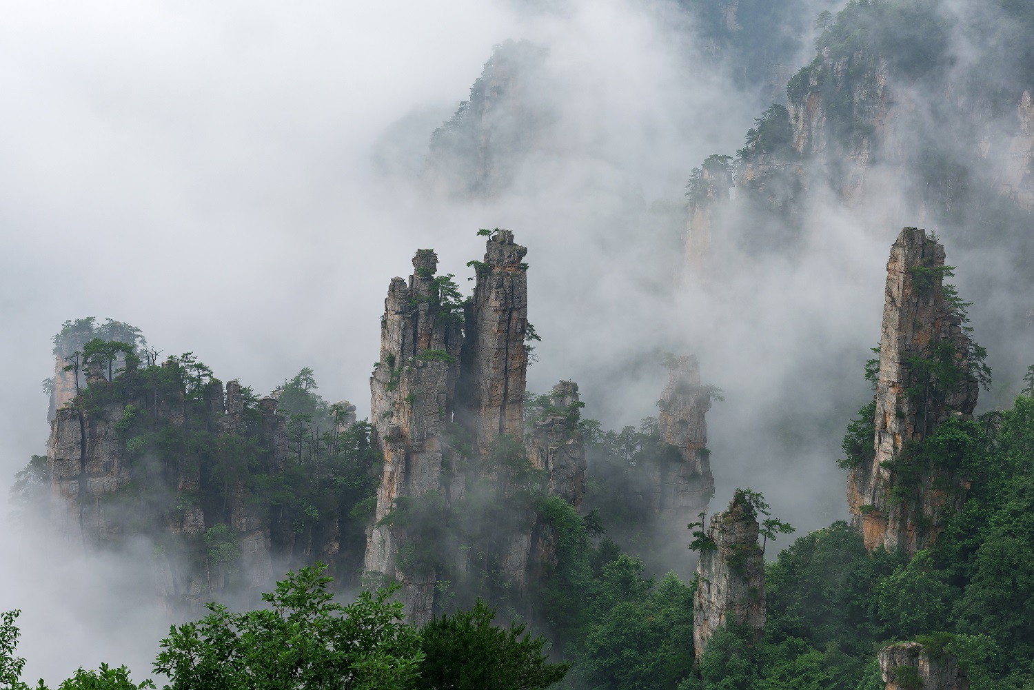 雾漫天子山