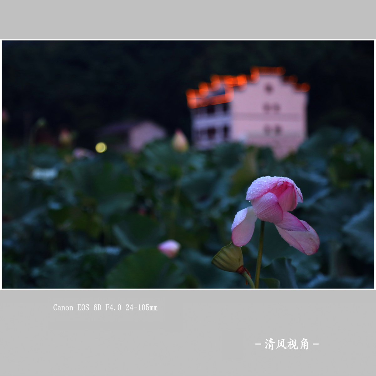 利山村_1345