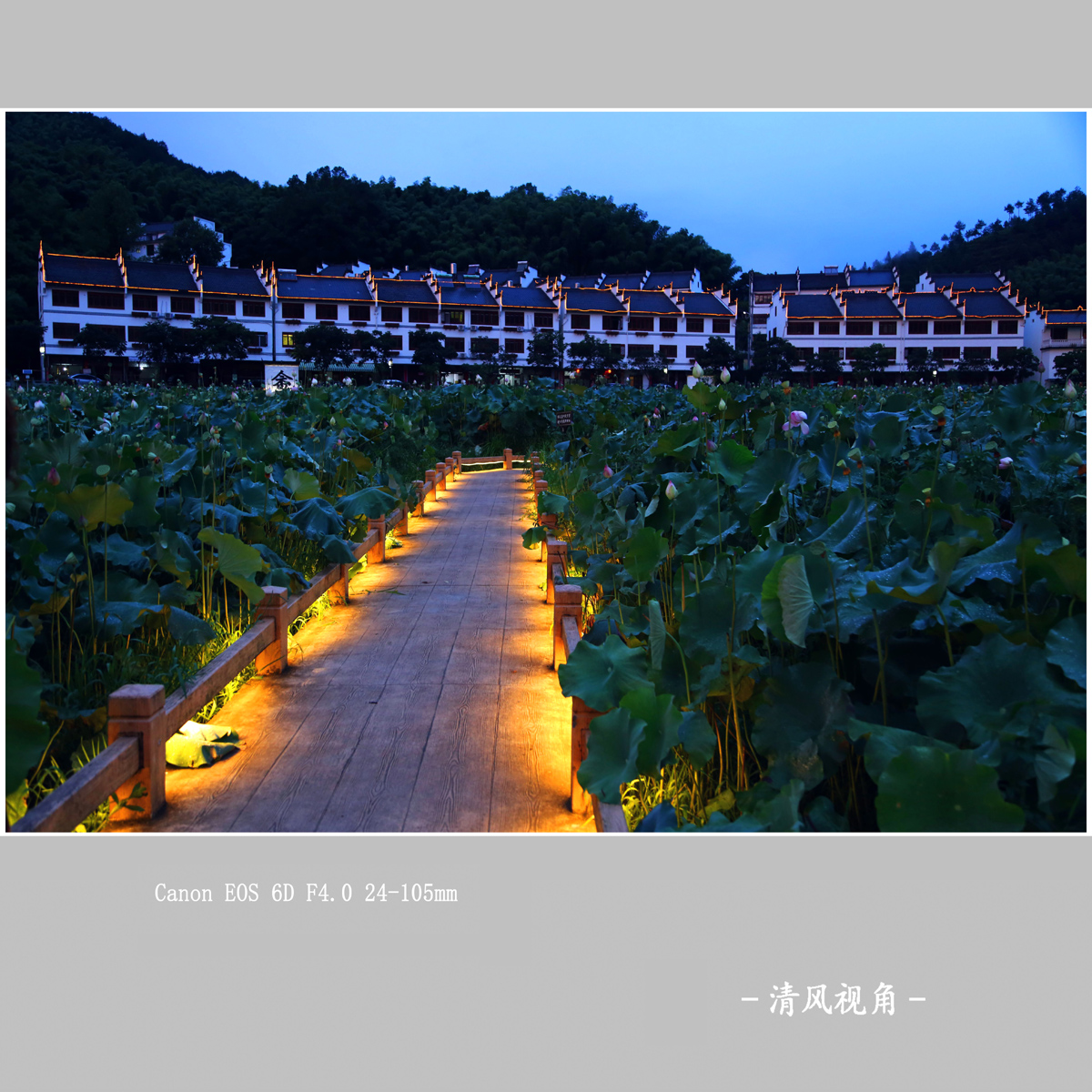 利山村_1343