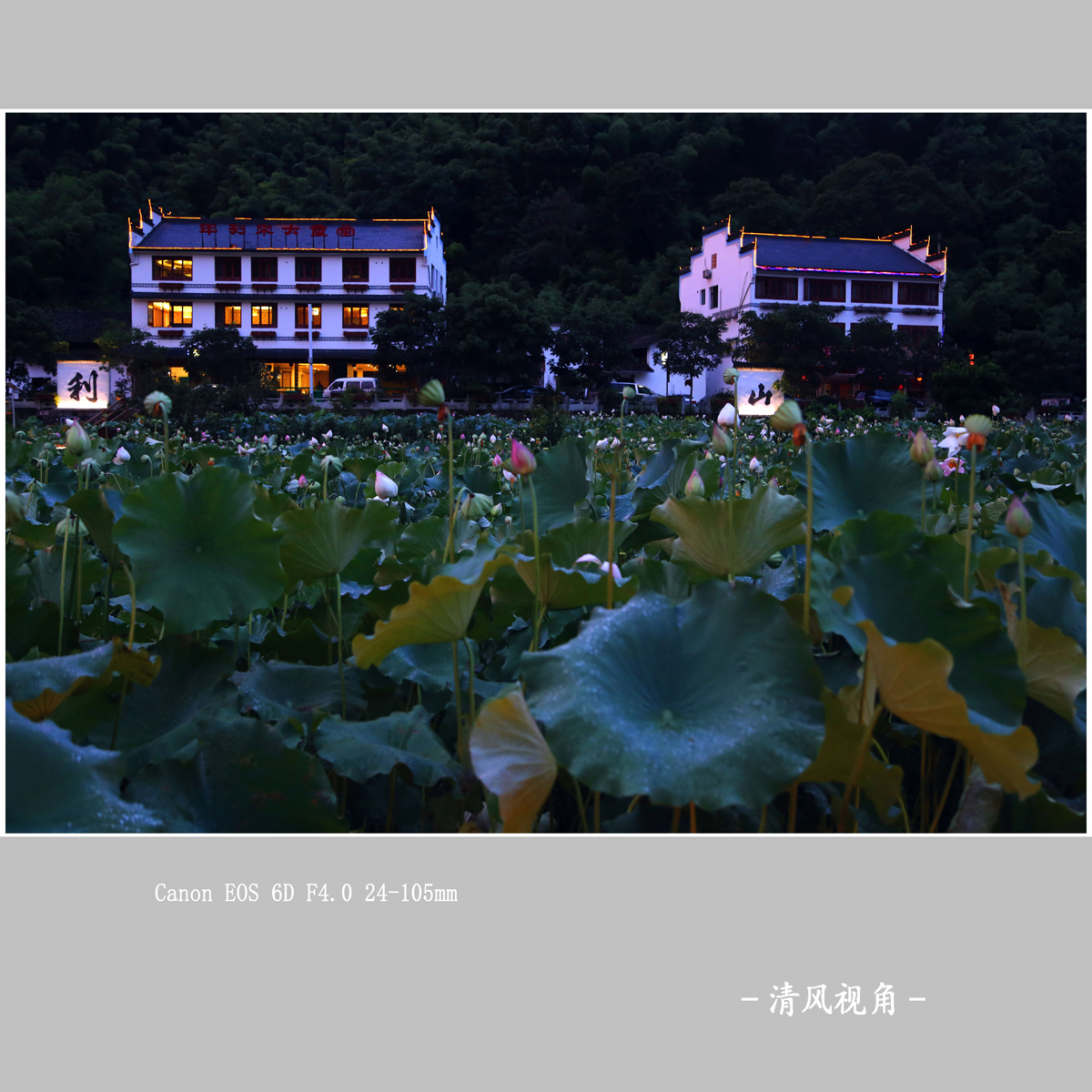 利山村_1344