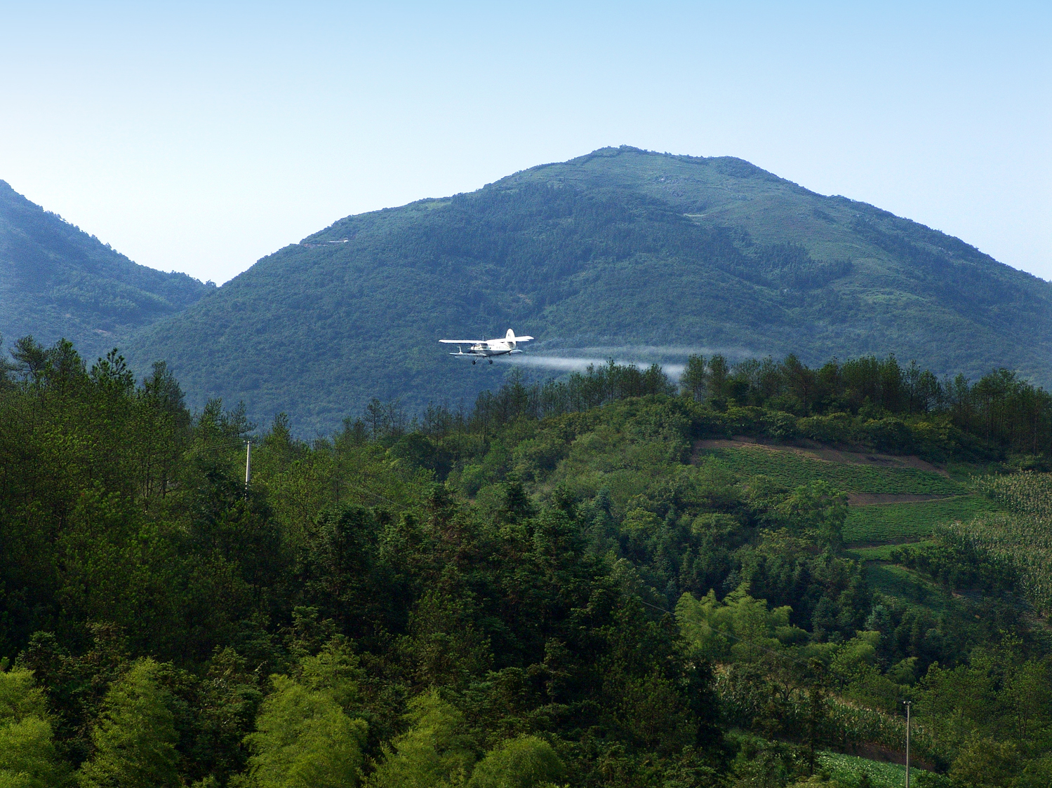 3、飞机喷撒农药除虫（2006年6月）
