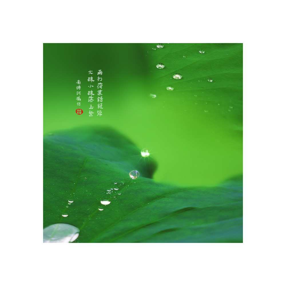 绿叶