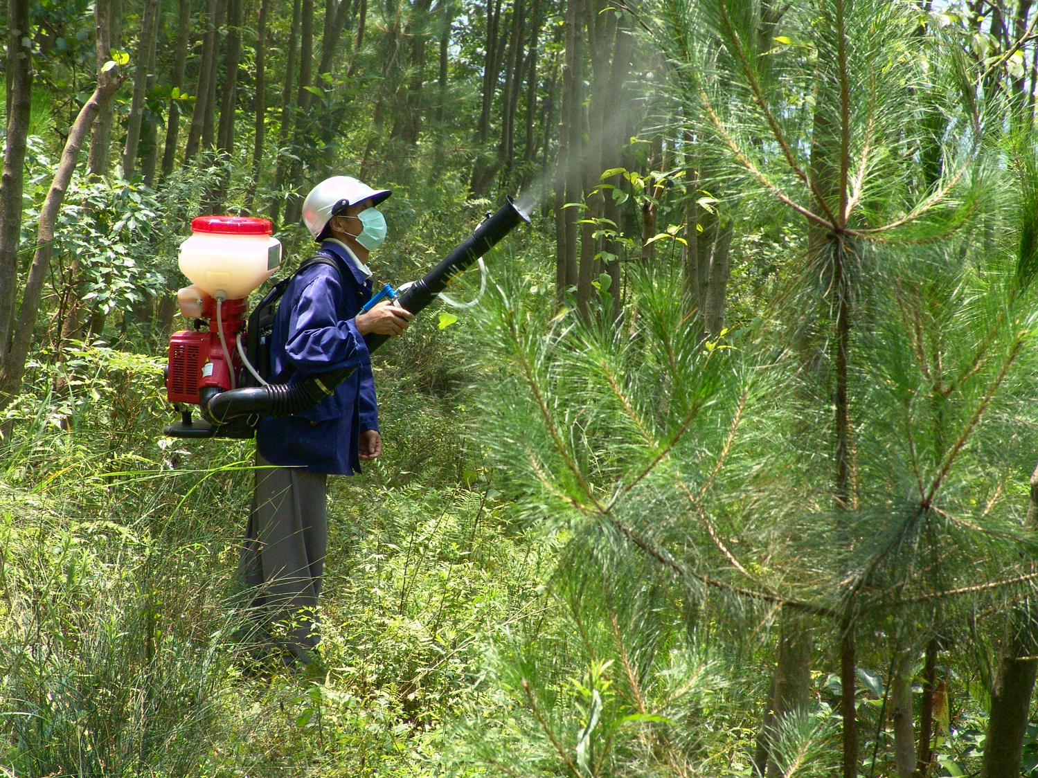 2、机动喷雾器喷药除虫